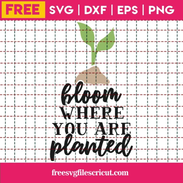 Free Bloom Where You Are Planted Svg