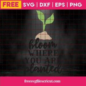 Free Bloom Where You Are Planted Svg Invert