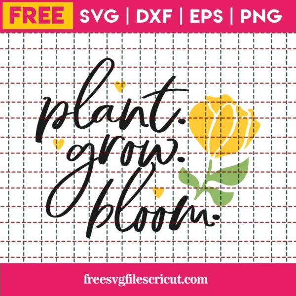 Plant Grow Bloom – Free Svg