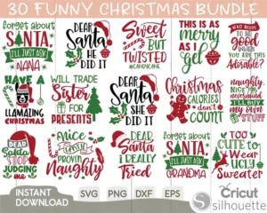 30 Funny Christmas Quotes Bundle Svg, Christmas Svg 0