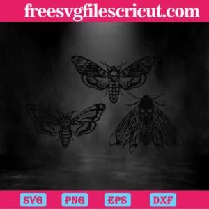 Death Head Moth Butterfly, Svg Png Dxf Eps Digital Files Invert
