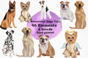 Dog Breeds Clipart Png Graphic