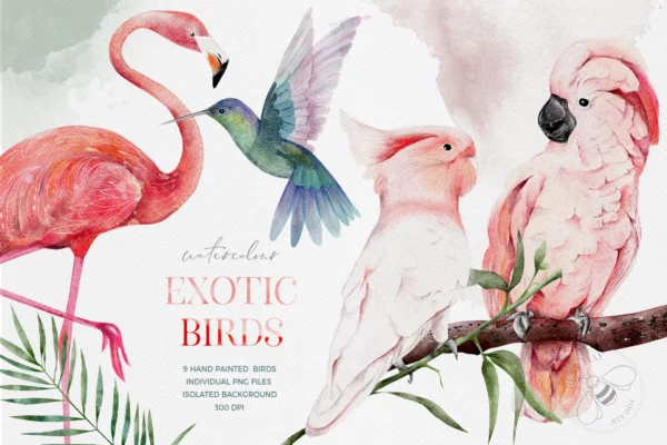 Watercolor Exotic Birds Tropical Png