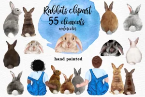Watercolor Rabbits Clipart Png