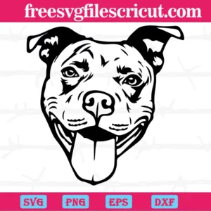 American Pit Bull Dog Face Clipart, Svg Png Dxf Eps Cricut