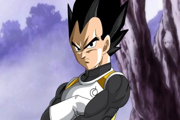 Dragon Ball Z characters - Vegeta