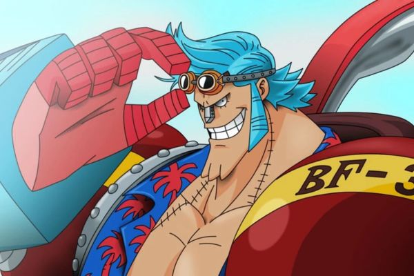 Franky: Shipwright of the Straw Hat Pirates.