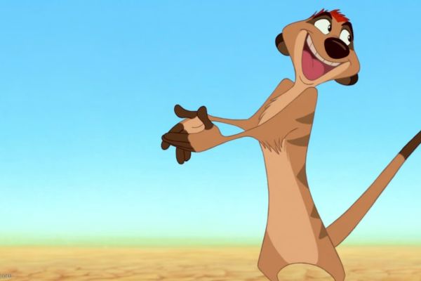Timon