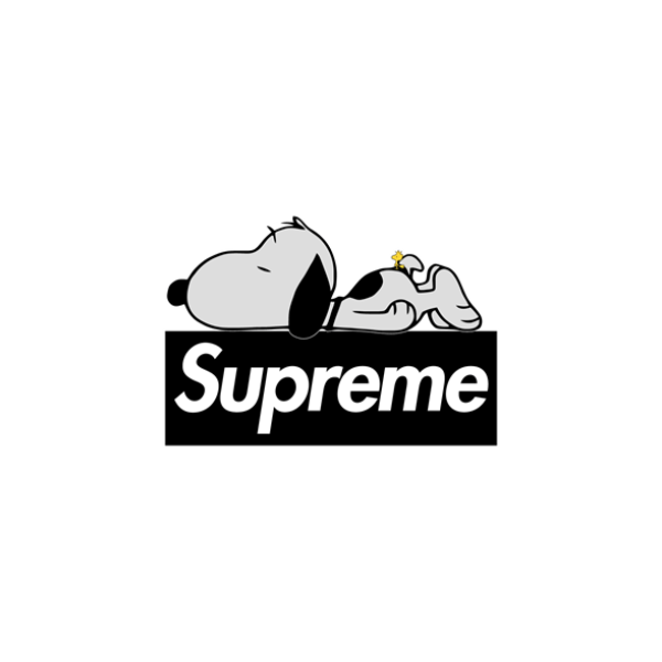 Supreme NY Logo PNG